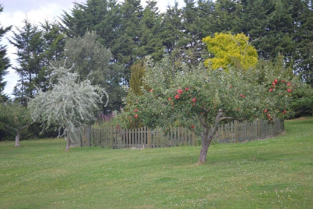 The Willow Studio - Peaceful Retreat Near Whitstable Seaside Faversham Exterior foto